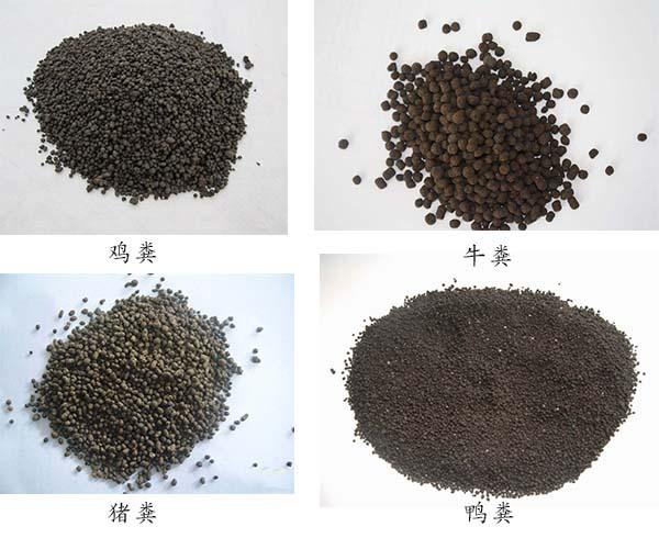 牛糞烘干機(jī)處理后的糞便圖